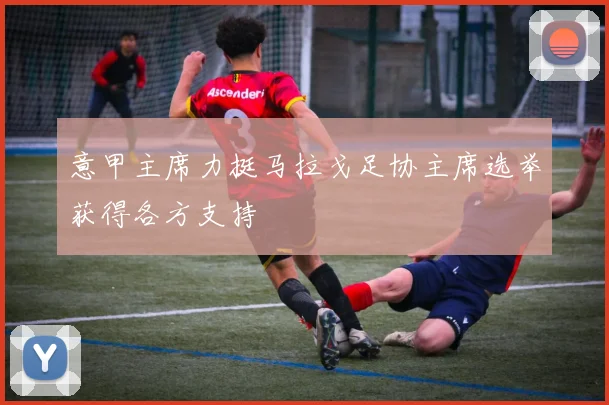 意甲主席力挺马拉戈足协主席选举获得各方支持