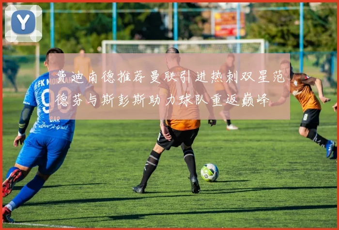 费迪南德推荐曼联引进热刺双星范德芬与斯彭斯助力球队重返巅峰